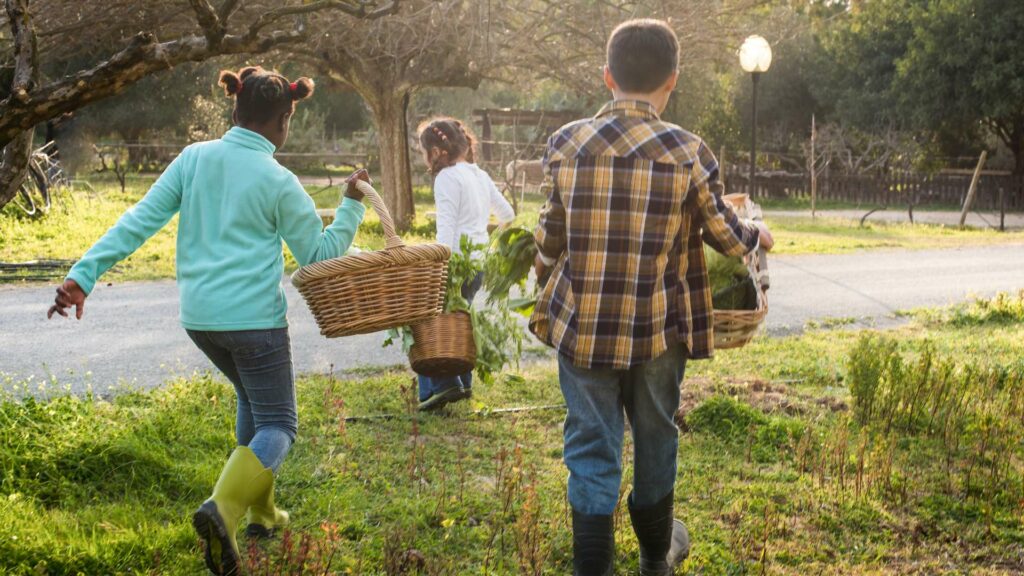 L'éducation au développement durable