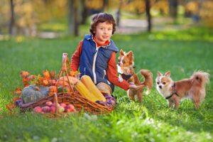 Un enfant avec des chiens