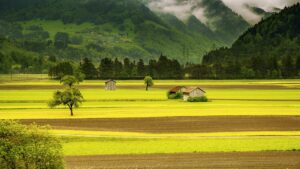 La campagne