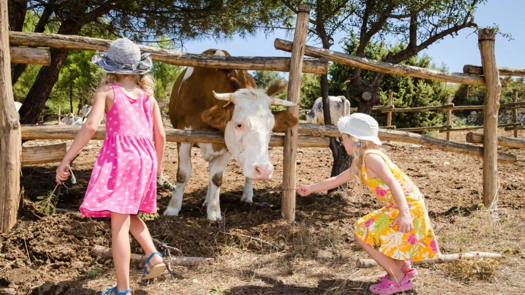 Des enfants à la ferme