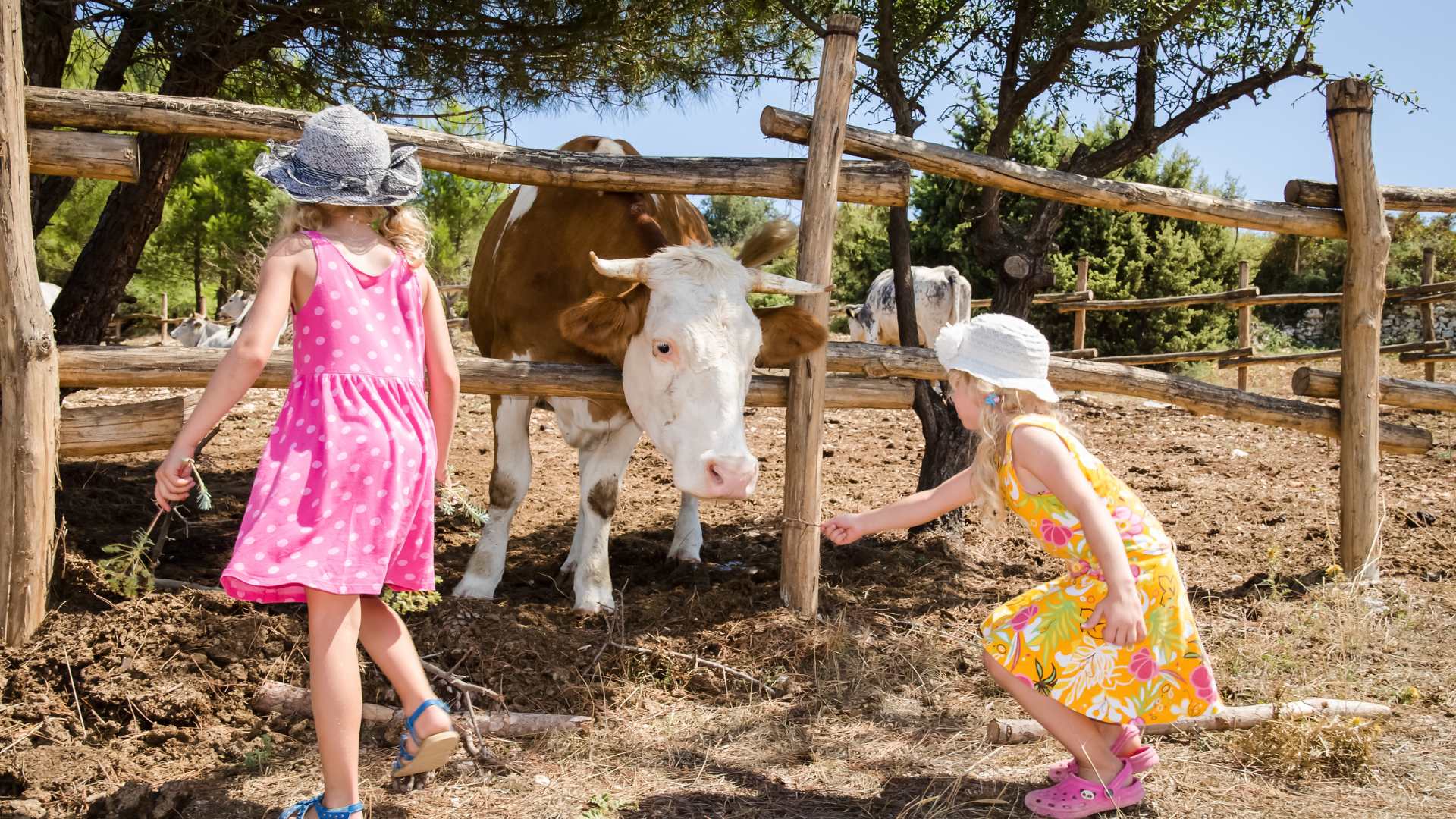 Les fermes pédagogiques : quand les enfants découvrent les animaux