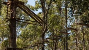 Parcours d'accrobranche
